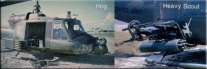 hog/scout