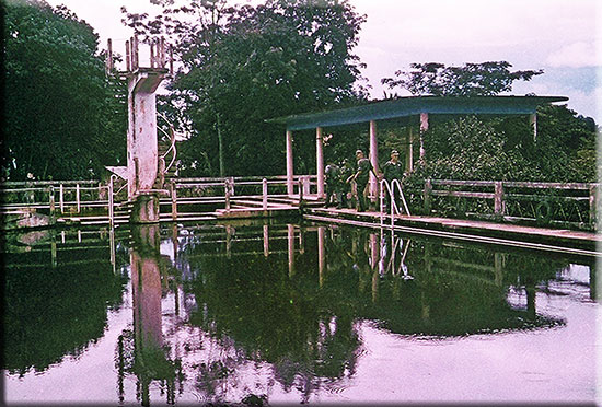 GrahamPool06