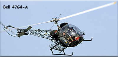SparrowHelicopter